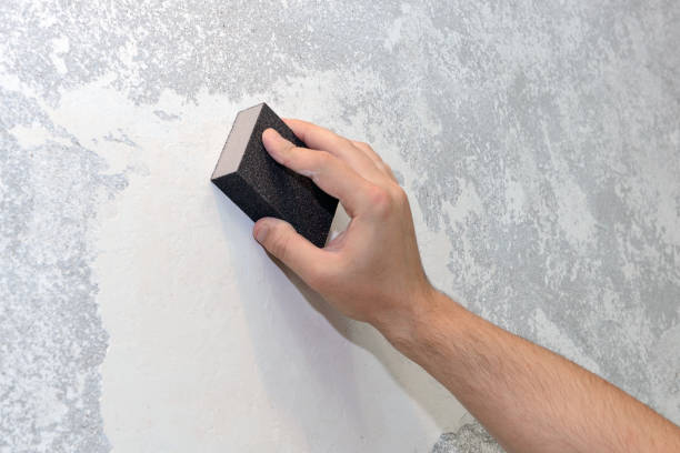 Best Emergency Mold Remediation  in Lake St Croix Beach, MN