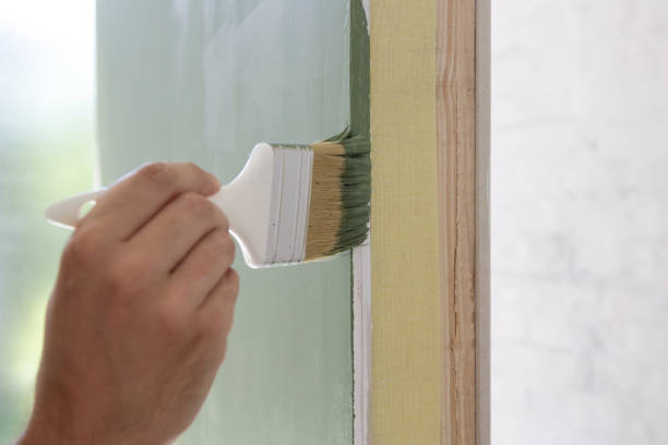 Best Mold Removal for HVAC Installations  in Lake St Croix Beach, MN