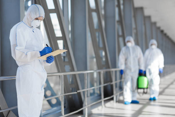 Best Mold Prevention Services  in Lake St Croix Beach, MN