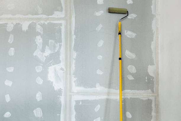 Best Mold Damage Restoration  in Lake St Croix Beach, MN