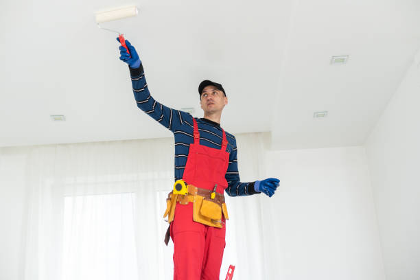 Mold Odor Removal Services in Lake St Croix Beach, MN