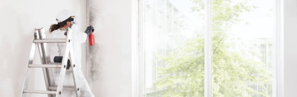 Best Dehumidification Services  in Lake St Croix Beach, MN