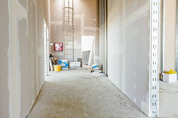 Best HVAC Mold Inspection and Cleaning  in Lake St Croix Beach, MN