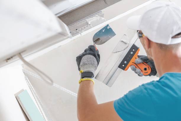 Best Black Mold Removal  in Lake St Croix Beach, MN